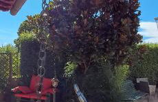 Il Nido Rustico - Foto 53