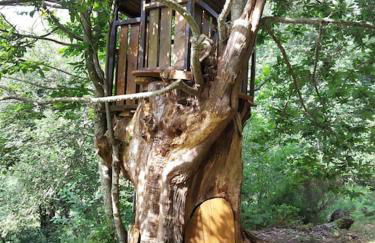 Quinta do Borges 2 - Foto 14