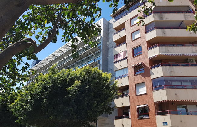 Fan Flat Sunset - Photo 45