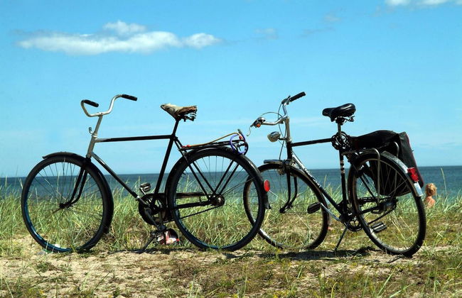 Ljugarns Semesterby & Camping - Photo 62