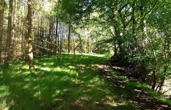 Cleeves Cabins, Ailsa Luxury Lodge With hot tub - Foto 19