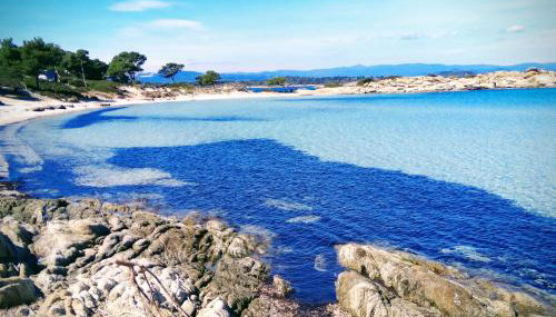 OASIS House - Foto 2