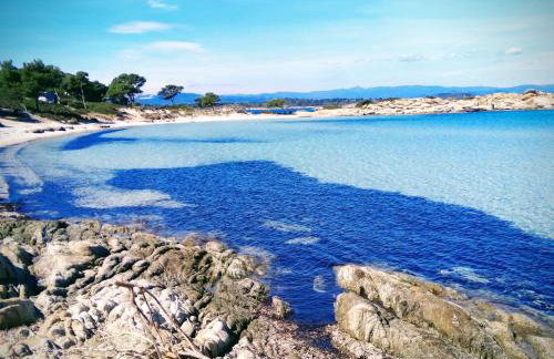 OASIS House - Foto 2