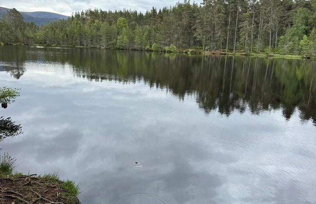 Highland Chalet Retreat in Boat of Garten - Foto 18