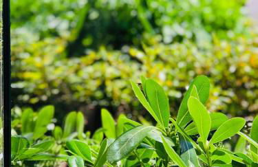 Apartment PURO HOMES - Foto 22