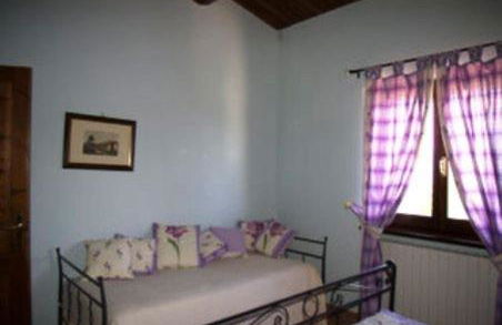 Cardinal Girolamo - Foto 62