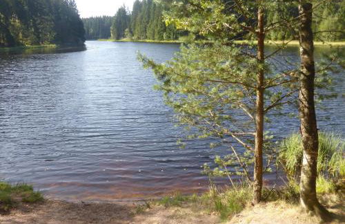 Holiday Home Windrad by Interhome - Foto 22