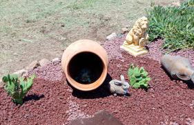 Villa House of William - Foto 22