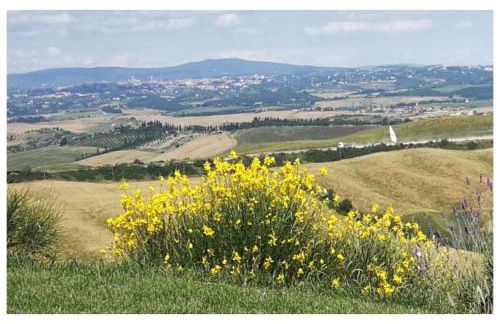 Agriturismo Le Crete - Appartamenti - Foto 12