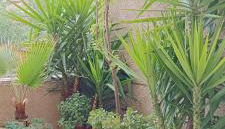 Apartamento Turístico Príncipe Cáceres AT-CC-00415 - Foto 2