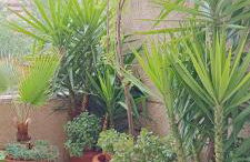 Apartamento Turístico Príncipe Cáceres AT-CC-00415 - Foto 2