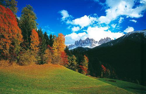 Art Apartment Schatzer - Photo 19