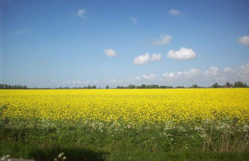 Fräulein Emma Lotta - Foto 38