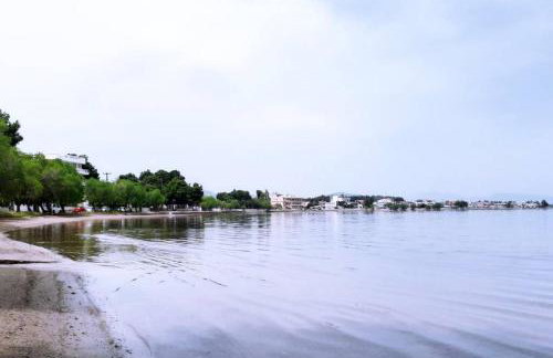 Πολυτελές διαμέρισμα 2 Χαλκίδα-Παραλία Αυλίδος - Photo 18