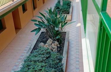 Rincón del Delta, apartamento en el Delta del Ebro, Playa Trabucador Amposta, Tarragona - Foto 17