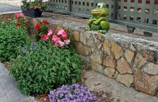 Apartamentos Guadalupe - Foto 17