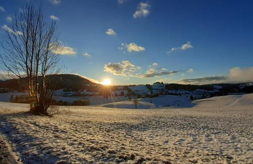 Ferienwohnung Am Kräutergarten - mit Pool, Sauna und Garage - Foto 24