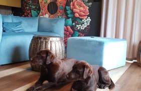 Domek na Kaszubach z jacuzzi i sauną, jezioro, las, Kaszuby, Widokownia Bukowinki - Foto 44