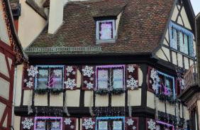 Gîte les Dahlias - Photo 17