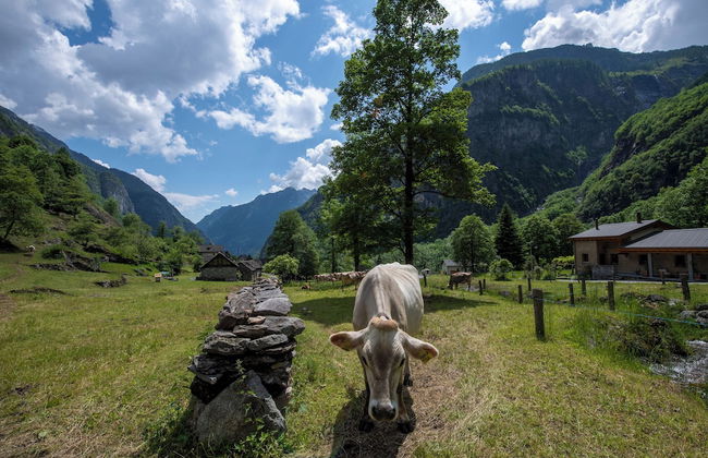 Rustico Savinera - Foto 21