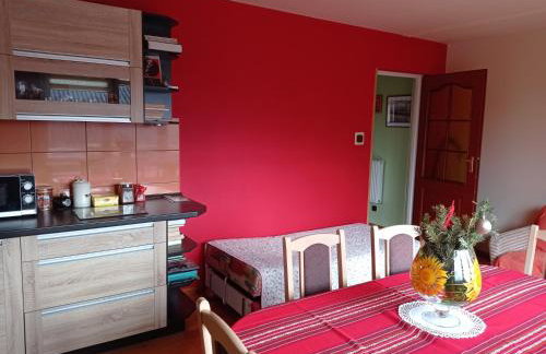 Apartament Pod Leszczyną - Foto 48