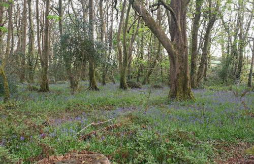 The Penthouse, top floor of a Grade II Listed Mill - Foto 18