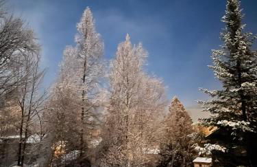 B10 NEW Awesome Tiny Home with AC Mountain Views Minutes to Skiing Hiking Attractions - Foto 34