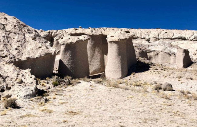 Escursione privata ai funghi di Tocota - Foto 2