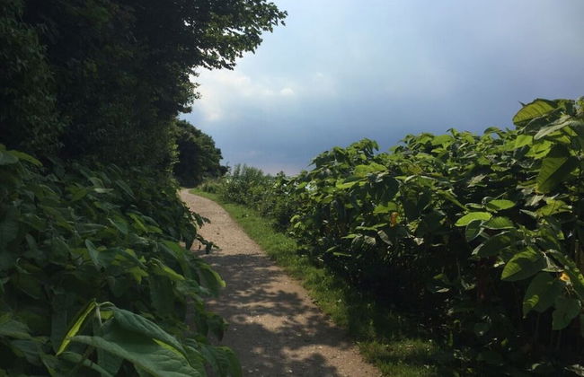 Das-zauberlig-ferienhaus - Photo 22