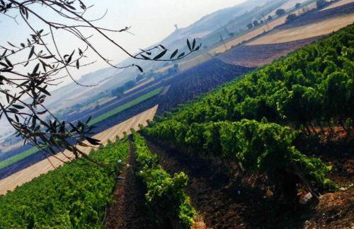 Relais I Dolci Grappoli - Foto 35