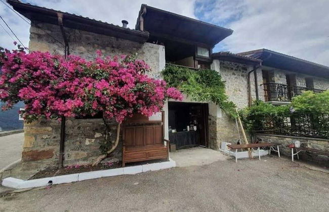 Degustação de vinhos e queijos em Guitiriz - Foto 3