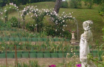 Casa "Dolina Kraljevac" - Foto 14