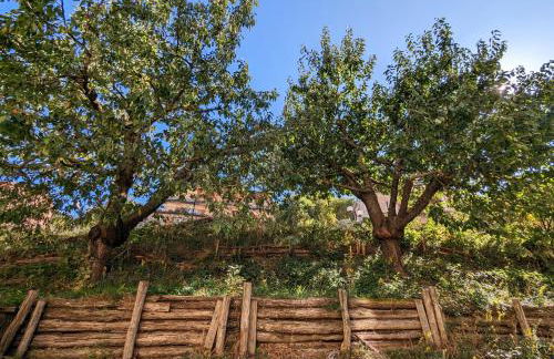 I Due Ciliegi - Foto 45