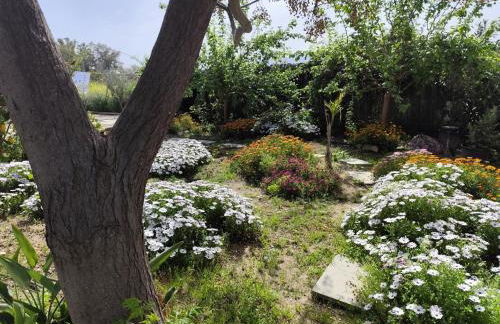 Andalusian Pool Parties Music & Magic - Photo 17