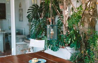 João Jungle - Foto 61