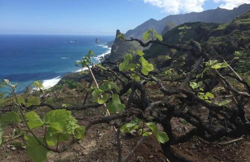 Villa Cleo, vistas de ensueño - Foto 56