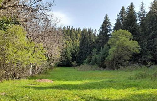 Wood Cabins by the River - for Nature Lovers - Photo 54