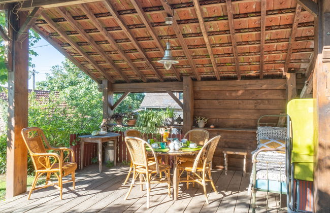 Marguerite - Photo 13