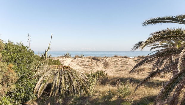 Cotton in Oliva With 3 Bedrooms and 1 Bathrooms - Foto 2, Camera