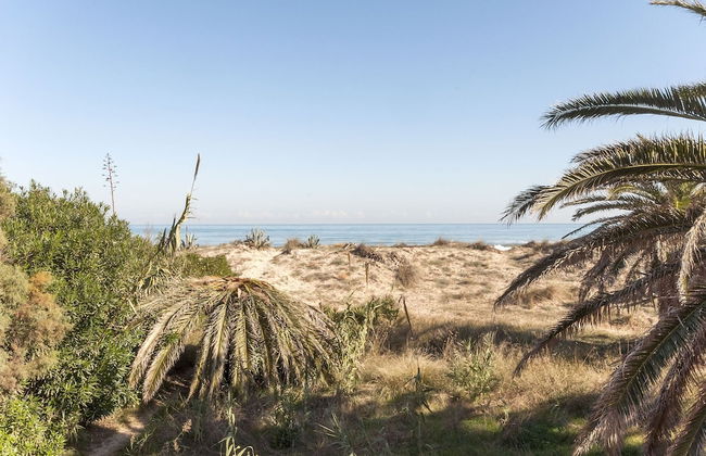 Cotton in Oliva With 3 Bedrooms and 1 Bathrooms - Foto 1