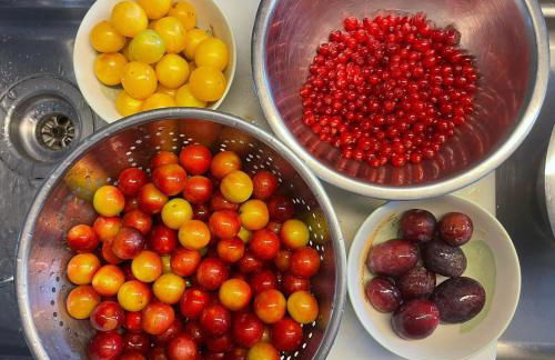 Cherrytree Cottage 1840 - Foto 37