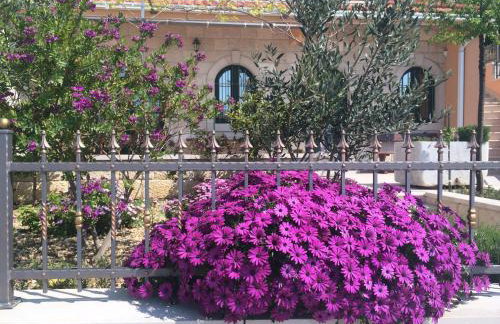 Villa Marija Podgora - Photo 18