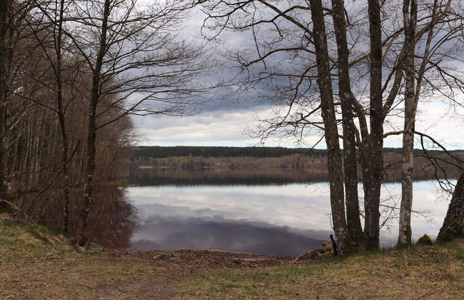 4 Person Holiday Home in Karl Gustav - Photo 13