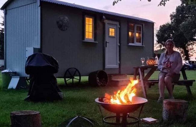 Starry Meadow - Foto 61