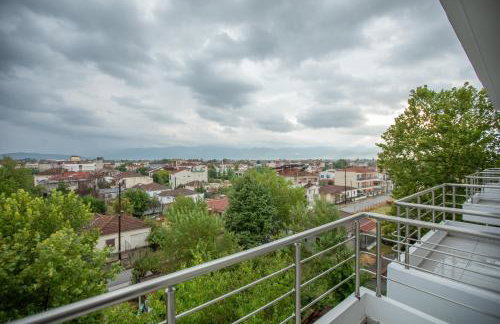 Serenity Karditsa Lofts 1 - Foto 29