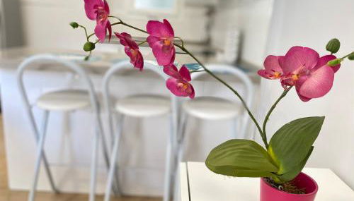 Sol Cavet con jardin Portaventura - Photo 5