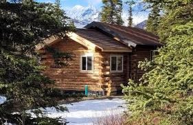 Little Bear Getaway Cabins - Foto 46