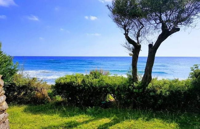 Corfu Island Apartment 49 - Photo 40