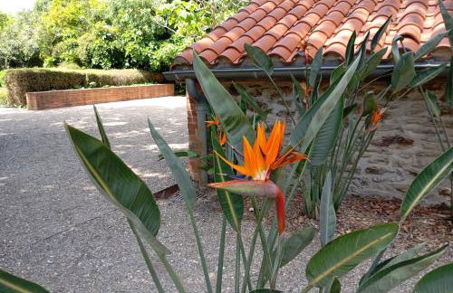 Appartement 3 pièces, jardin, garage - Photo 38