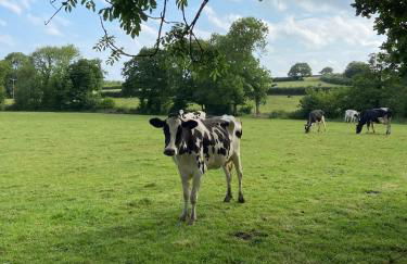 Canllefaes Cottages - Foto 58